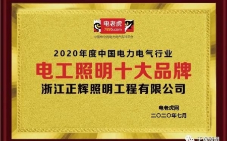 品牌榮譽(yù)！祝賀浙江正輝照明榮膺2020年“電工照明十大品牌”